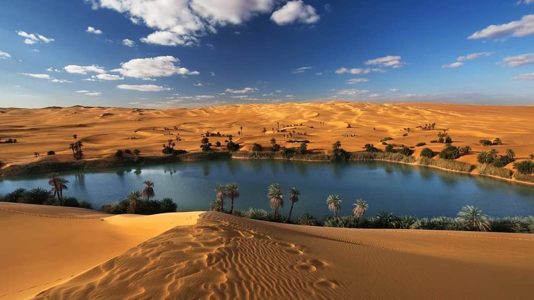 Day Tour to Fayoum Oasis