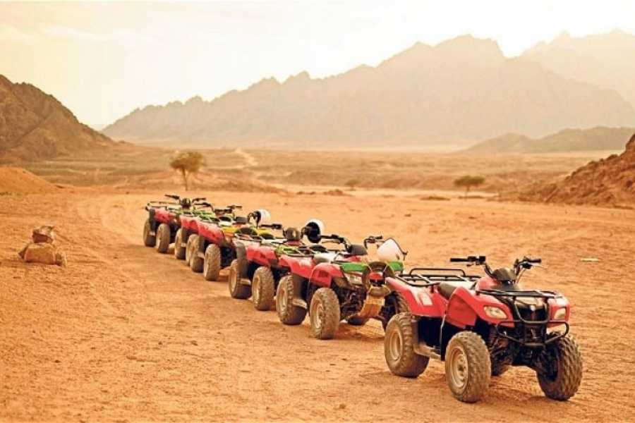 Egypt Desert Adventures