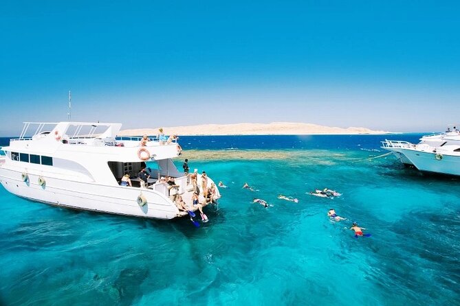 Snorkeling Trip To Tiran Island